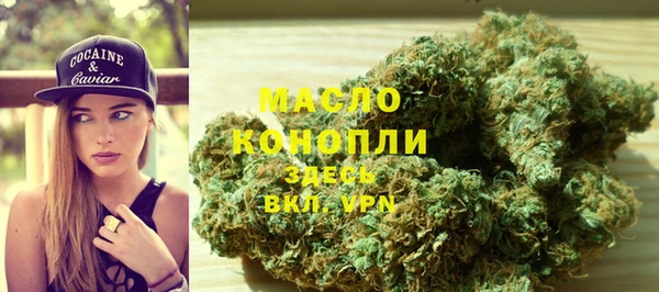индика Семикаракорск