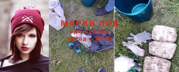 гидра Аркадак